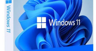 Windows 11 Activate