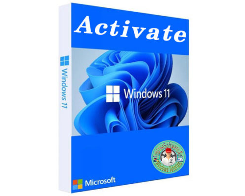 Windows 11 Activate